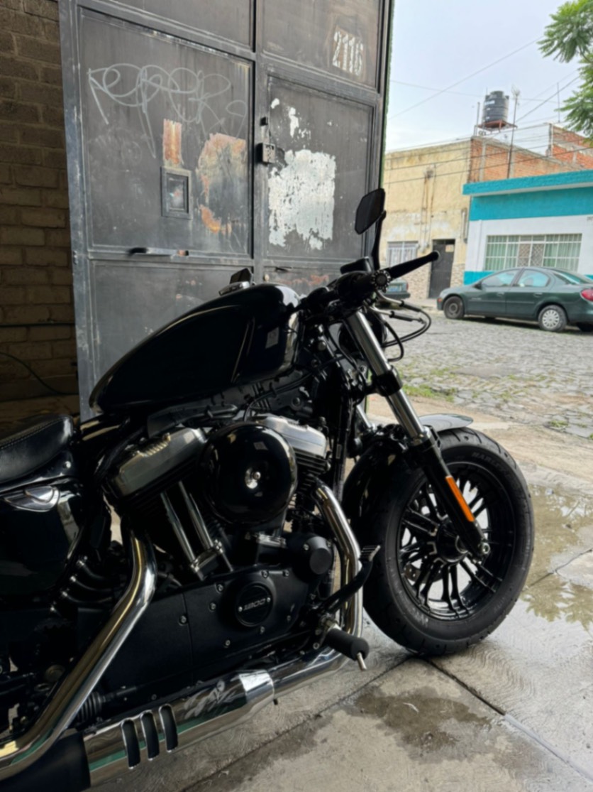 Product image for Rocha gay 